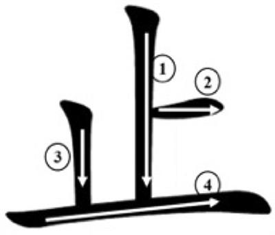 The Moderation Effect of Processing Efficiency on the Relationship Between Visual Working Memory and Chinese Character Recognition